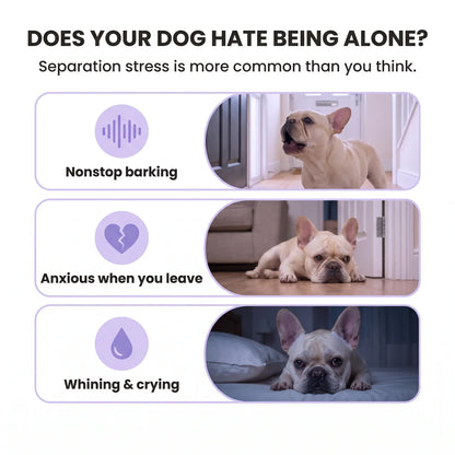 Heartbeat Pup – Your Dog's Bedtime Buddy