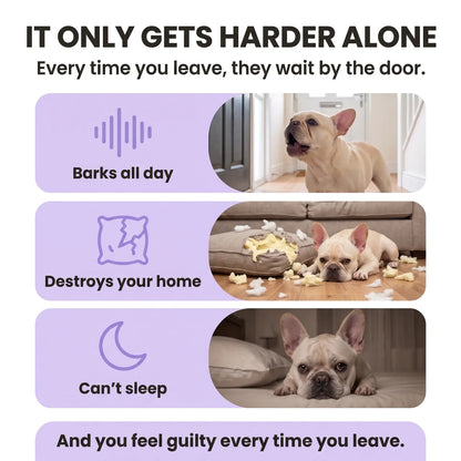 Heartbeat Pup – Your Dog's Bedtime Buddy