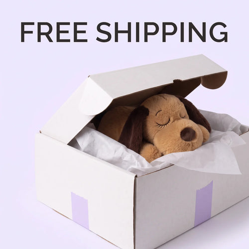 🚚 Free Shipping