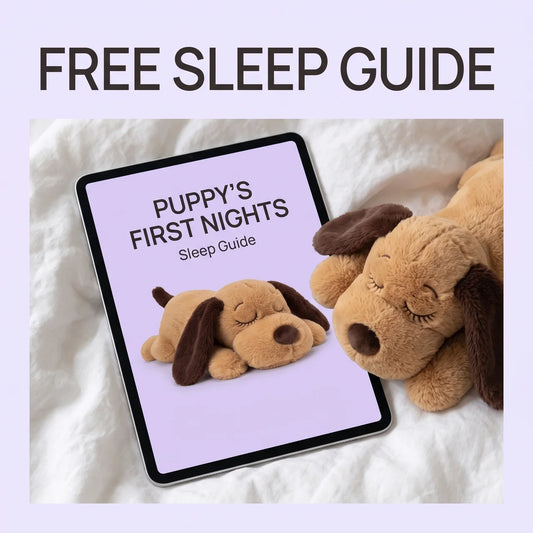 📘 Puppy’s First Nights